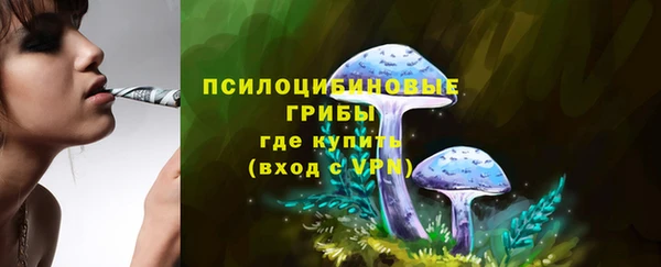 дурь Гусиноозёрск