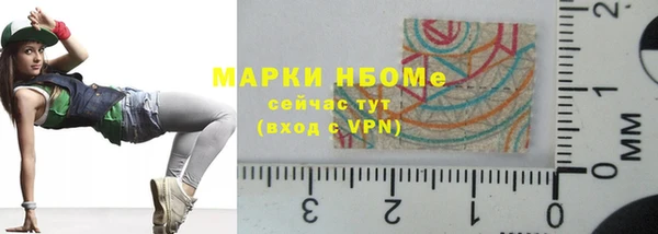 дурь Гусиноозёрск