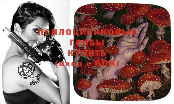 дмт Гусь-Хрустальный