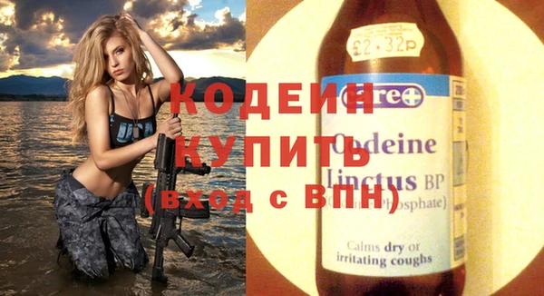 прущий лед Гусев