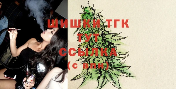 дмт Гусь-Хрустальный
