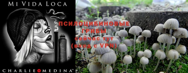прущий лед Гусев