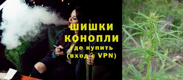 дурь Гусиноозёрск