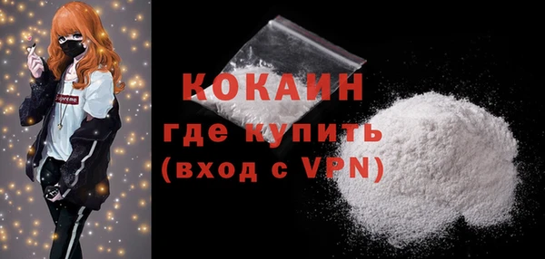 тгк Дмитриев
